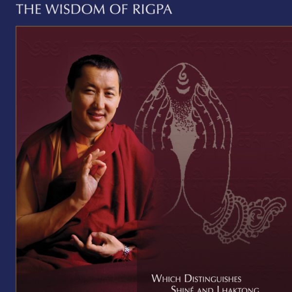 La Sagesse De Rigpa